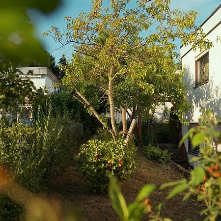 Ferienwohnung Wiese Apartmán *