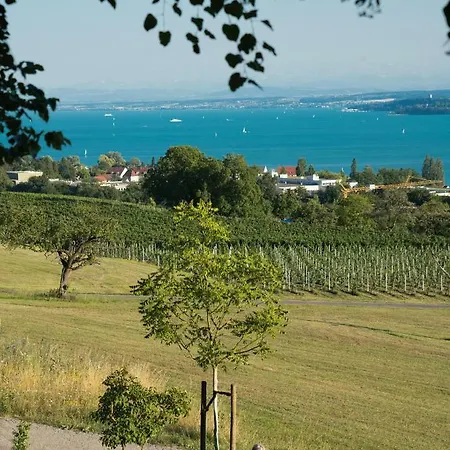 Ferienwohnung Wiese Apartmán *